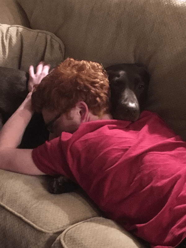 A photo of a chocolate Labrador Retriever and a red-haired teenager hugging him. A photo of a chocolate Labrador Retriever and a red-haired teenager hugging him.